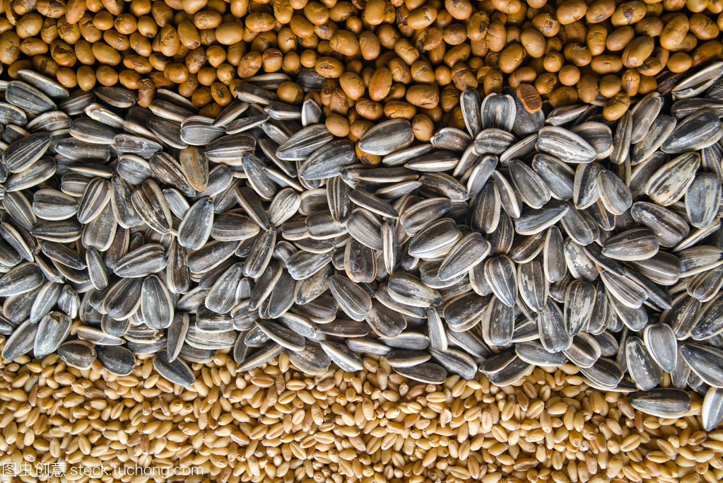 谷物與棉花種植 中國農業的雙重支柱